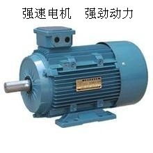 國標(biāo)全銅線，動(dòng)力強(qiáng)勁之選 臺州強(qiáng)速Y180L-6 15KW三相異步電動(dòng)機(jī)深度解析